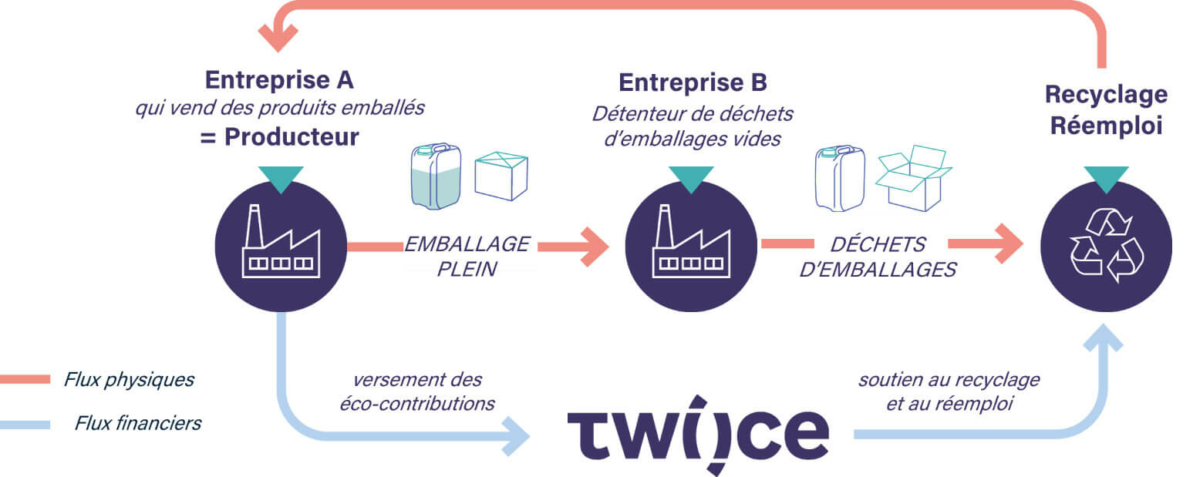 Schema D Une Filiere Rep